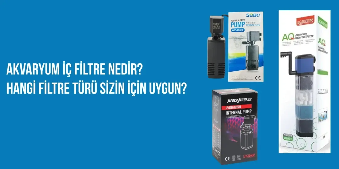 Akvaryum İç Filtre Nedir? Hangi Filtre Türü Sizin İçin Uygun?
