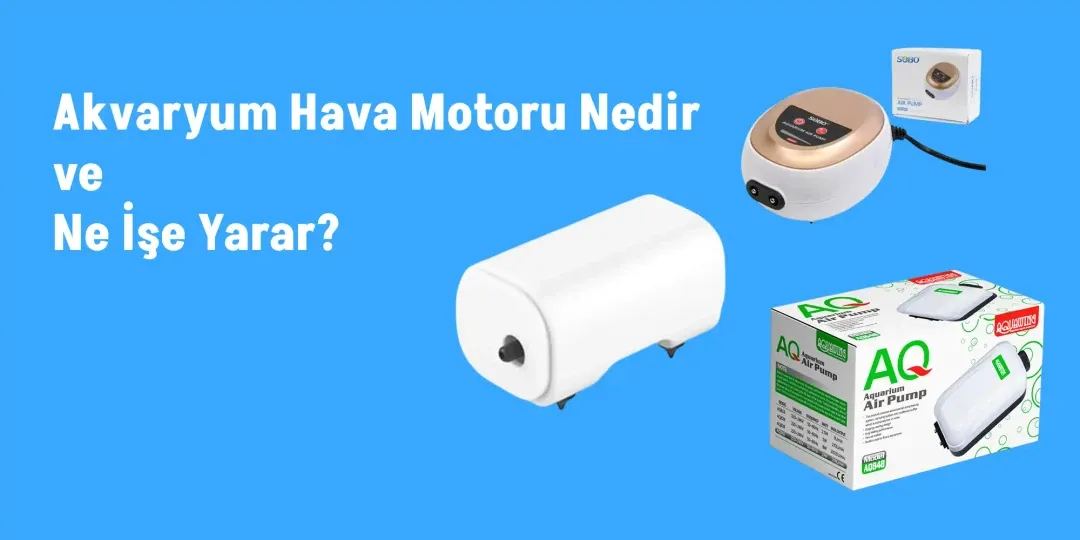 Akvaryum Hava Motoru Nedir ve Ne İşe Yarar?