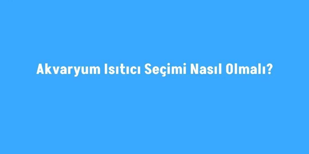 Akvaryum Isıtıcı Seçimi Nasıl Olmalı?