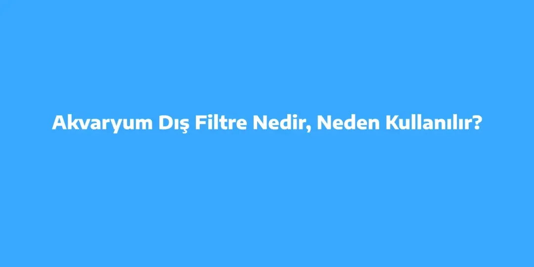 Akvaryum Dış Filtre Nedir, Neden Kullanılır?