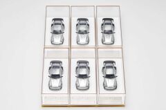 1/64 RWB 964 Polish version